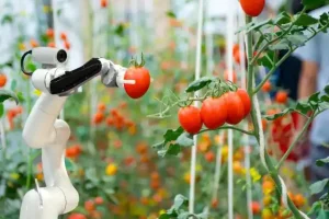 【今買っておきたい!】AI・半導体関連の急成長株5選(2025年春版)